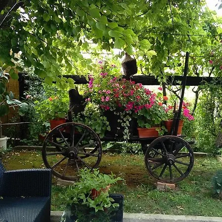 Casa Crinei Kır Evi Jurilovca