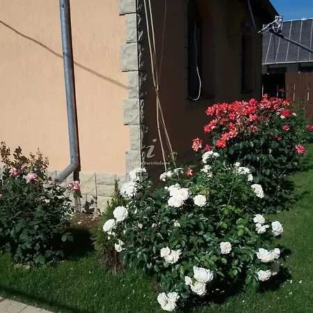 Venkovský dům Casa Crinei *