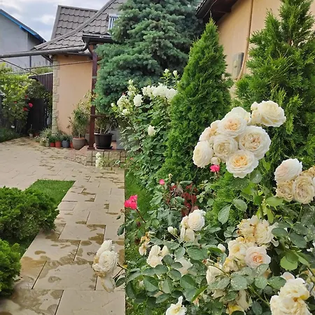 Летний дом Casa Crinei *