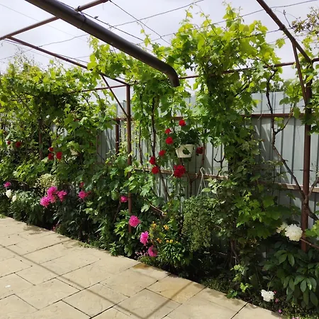 Casa Crinei Jurilovca